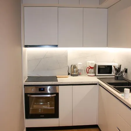 Roza's Center Apartment *