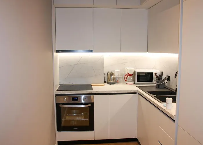 Roza's Center 公寓 *